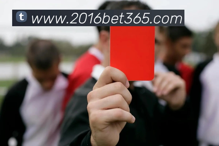 bet365中国官网平台生态图